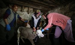 Anteplioğlu'ndan Veteriner Hekimler Günü mesajı