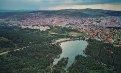 TMO değerlendirdi: Olumsuzluklara yol açtı!