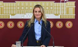 İzmir Milletvekili Seda Kaya Ösen kimdir?