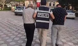 Komşuda köpek dövüştürenler yakalandı