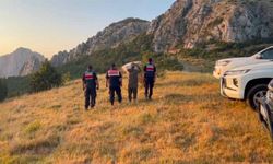 Yozgat Kazankaya Kanyonunda yaban keçileri görüntülendi