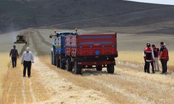 Yozgat'ta hasat sezonu başladı: Çiftçi tarlada!