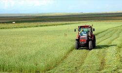 Bakanlık açıkladı… Çiftçilere destek ödemesi yapılacak!