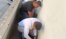 Yozgat'ta permakültür alanı oluşturuldu