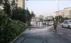 Ağaçlık alanda çıkan yangın korkuttu: Erken müdahale yangının büyümesini önledi!