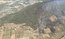 Ormanlık alanda çıkan yangın kontrol altında