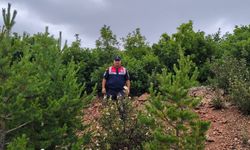 Yozgat’ta avlak ve orman denetimi yapıldı