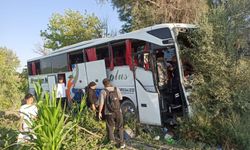 Yolcu otobüsü yoldan çıktı... 7 yaralı!