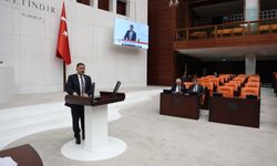 Yozgat Vekili Sedef’ten TBMM’de çevre ve üretim dengesi vurgusu