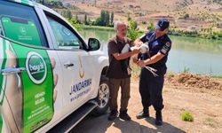 Sorgun'da yaralı leylek koruma altına alındı
