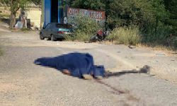 İkiye katlanan motosikletin sürücüsü hayatını kaybetti