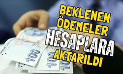 Beklenen ödemeler hesaplara aktarıldı