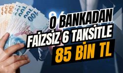 O bankadan faizsiz 6 taksitle 85 bin TL
