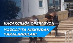 Kaçakçılığa operasyon... Yozgat'ta kıskıvrak yakalandılar!
