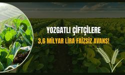 Yozgatlı çiftçilere 3,6 milyar lira faizsiz avans!