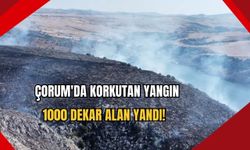 Çorum'da korkutan yangın: 1000 Dekar alan yandı!