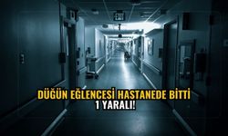 Düğün eğlencesi hastanede bitti: 1 yaralı!
