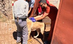Yozgat'ta kayıt yaptırmayanlara cezai işlem uygulanacak!