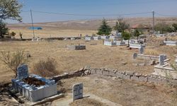 Şefaatli’de mezarlıklara bakım yapıldı