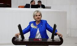 Nimet Özdemir kimdir? Nimet Özdemir nereli, hangi partide ve neden istifa etti, AK Partiye mi geçecek?