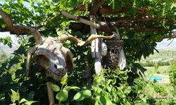 Yozgat'ta sanatla bağımlılığını yendi