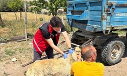 Yozgat'ta hayvan sahiplerine kritik uyarı