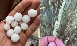 Ceviz büyüklüğünde dolu ekili alanları vurdu