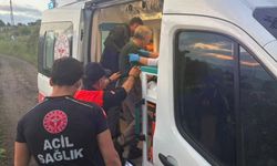 Kaybolan 72 yaşındaki yaşlı adam ormanda bulundu