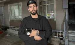 7'inci kattan düşen kedi şemsiye ile kurtarıldı
