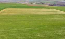 Yozgat'ta yeni çeşitler toprakla buluştu