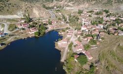 Yozgat'ta köy halkı endişeli! Yılanlar köyü bastı