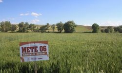 Yozgat'ta deneme ekimi yapıldı