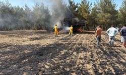 Hasat faciası: 150 dönüm tarım arazisi küle döndü