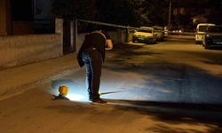 Babasının evine tüfekle ateş açtı