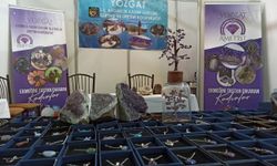 Yozgat'ta taşın sanata yolculuğu