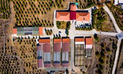 Yozgat'ta Çalatlı Yaban Hayvanı Üretim Merkezi için ihale