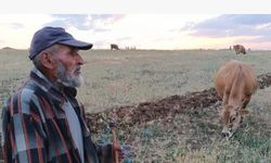 Yozgat’ta 72 yaşındaki Ahmet Yılmaz’ın hafızası hayran bırakıyor