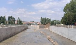DSİ 123. Şube Müdürü Nurettin Şenol incelemelerde bulundu