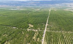 Yozgat'ta tarımın kaderini değiştiren proje: Rekolte 30 kat arttı