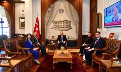 Özge Kaplan kimdir? Özge Kaplan mesleği ne, kariyeri nasıl ve nereye atandı?