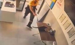Kedinin pençesindeki kargayı görevli kurtardı