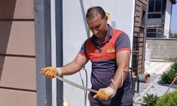 Yozgat’ta korkutan yılan vakası!