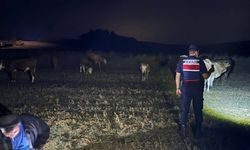 Saraykent’te kayıp hayvanlar dere yatağında bulundu
