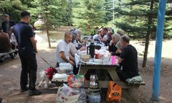Ankara'da piknik şöleninde buluştular