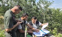 Yozgat'ta ormancılık çalışmaları denetlendi