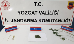 Boğazlıyan’da kenevir ve esrar ele geçirildi