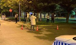 'Kız meselesinde' kan aktı