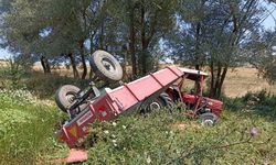 Buğday yüklü traktör devrildi: Sürücü yaralandı