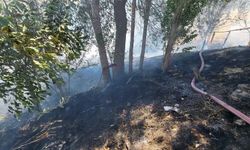 Yozgat'ta ot yangını: 2 dönüm arazi yandı