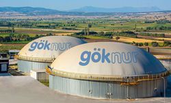 Göknur Gıda kimindir? Göknur Gıda'nın ortaklık yapısı ve kayyum kararı süreci